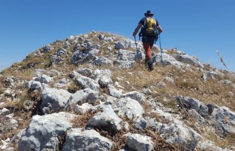 העברת ציוד בקמינו דה סנטיאגו (Camino de Santiago): האם זה נחשב אם לא סחבתי את התיק?